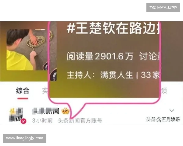 王楚钦蹲路边淡定摸蛇 网友称其为养蛇少年胆量过人 王楚钦蹲路边淡定摸蛇 网友称其为养蛇少年胆量过人